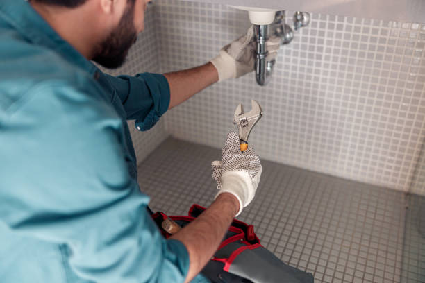 Best Drain Cleaning & Maintenance in Holt, AL